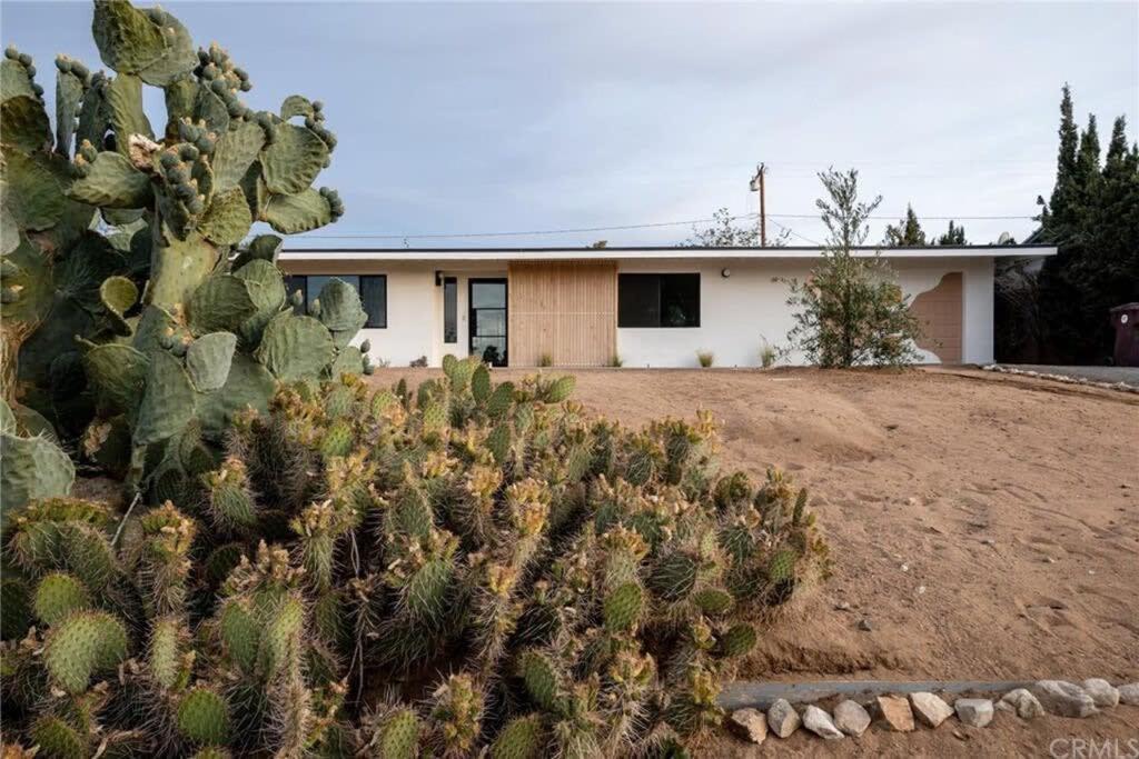Joshua Tree - Le Tout Petit W Hot Tub Luaran gambar